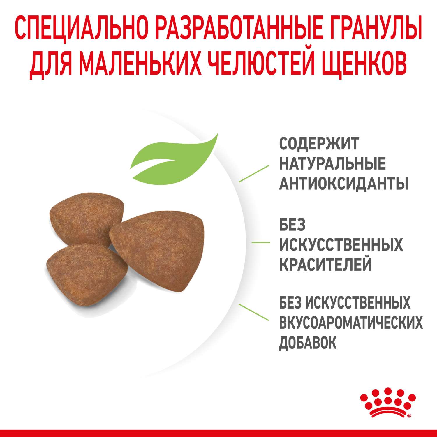 Корм для щенков ROYAL CANIN Puppy мелких пород 800г - фото 7
