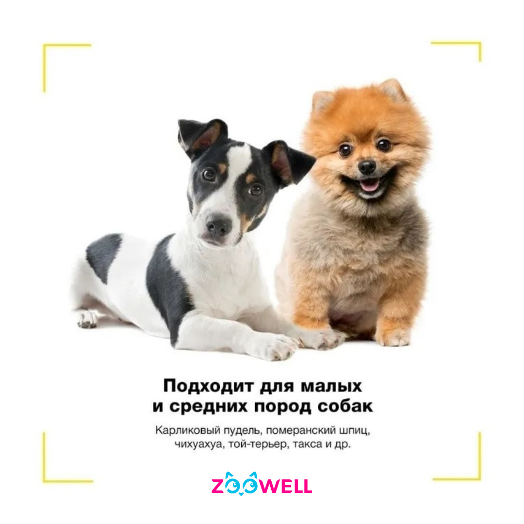 Намордник ZDK Силиконовый для собак ZooWell голубой M - фото 6