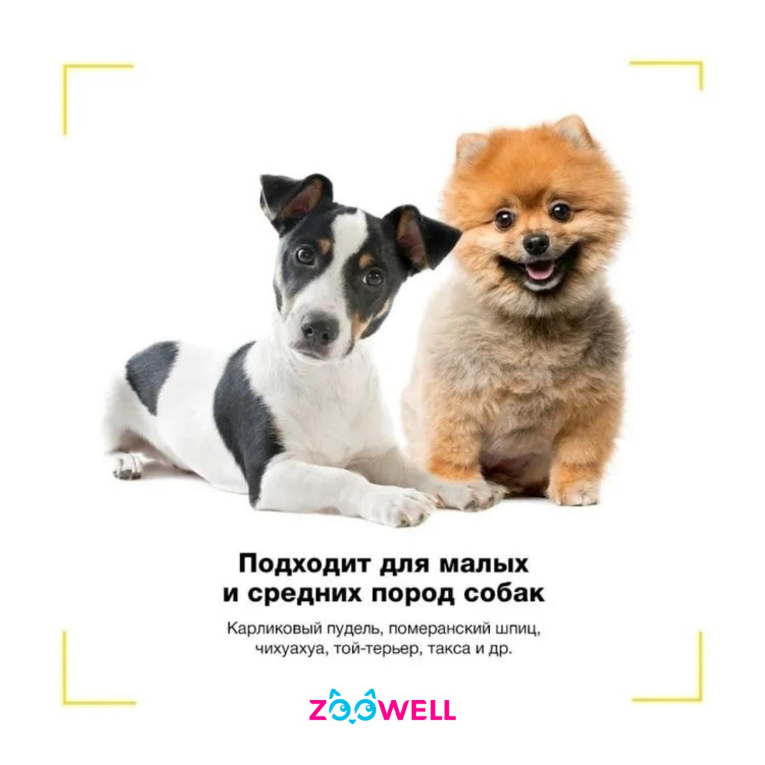 Намордник ZDK Силиконовый для собак ZooWell голубой M