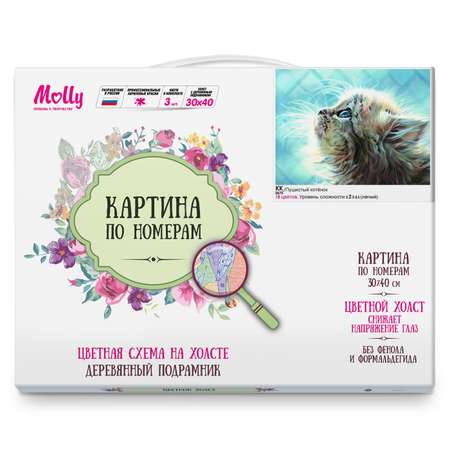 Картина по номерам Molly Пушистый котенок