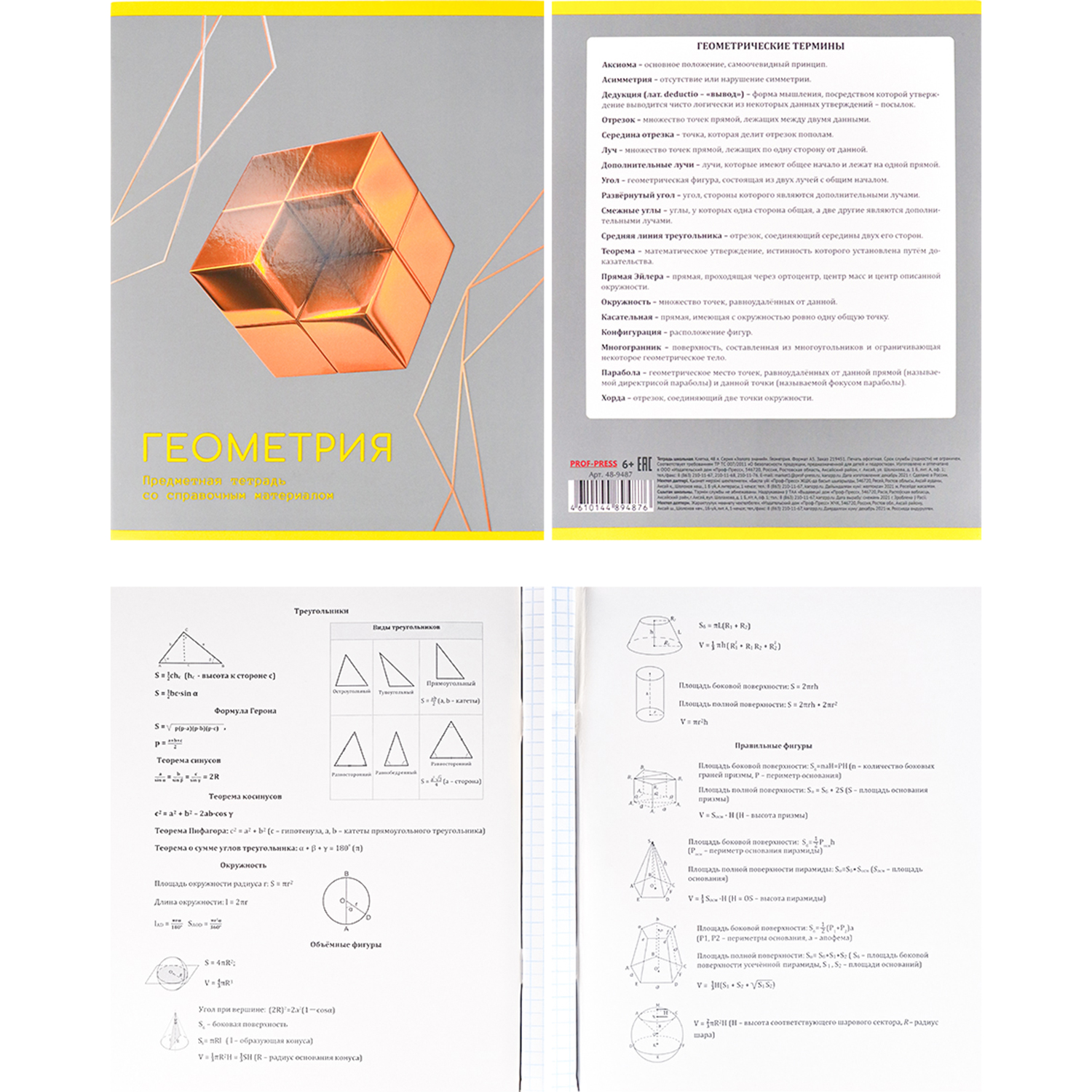 Набор предметных тетрадей Prof-Press Золото знаний 48 листов 12 тетрадей - фото 8