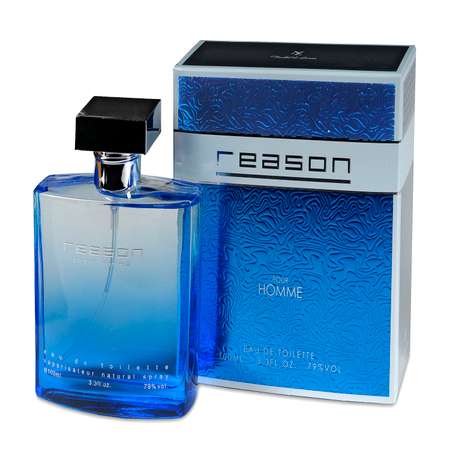 Туалетная вода Понти Парфюм для мужчин Reason pour homme 100 мл