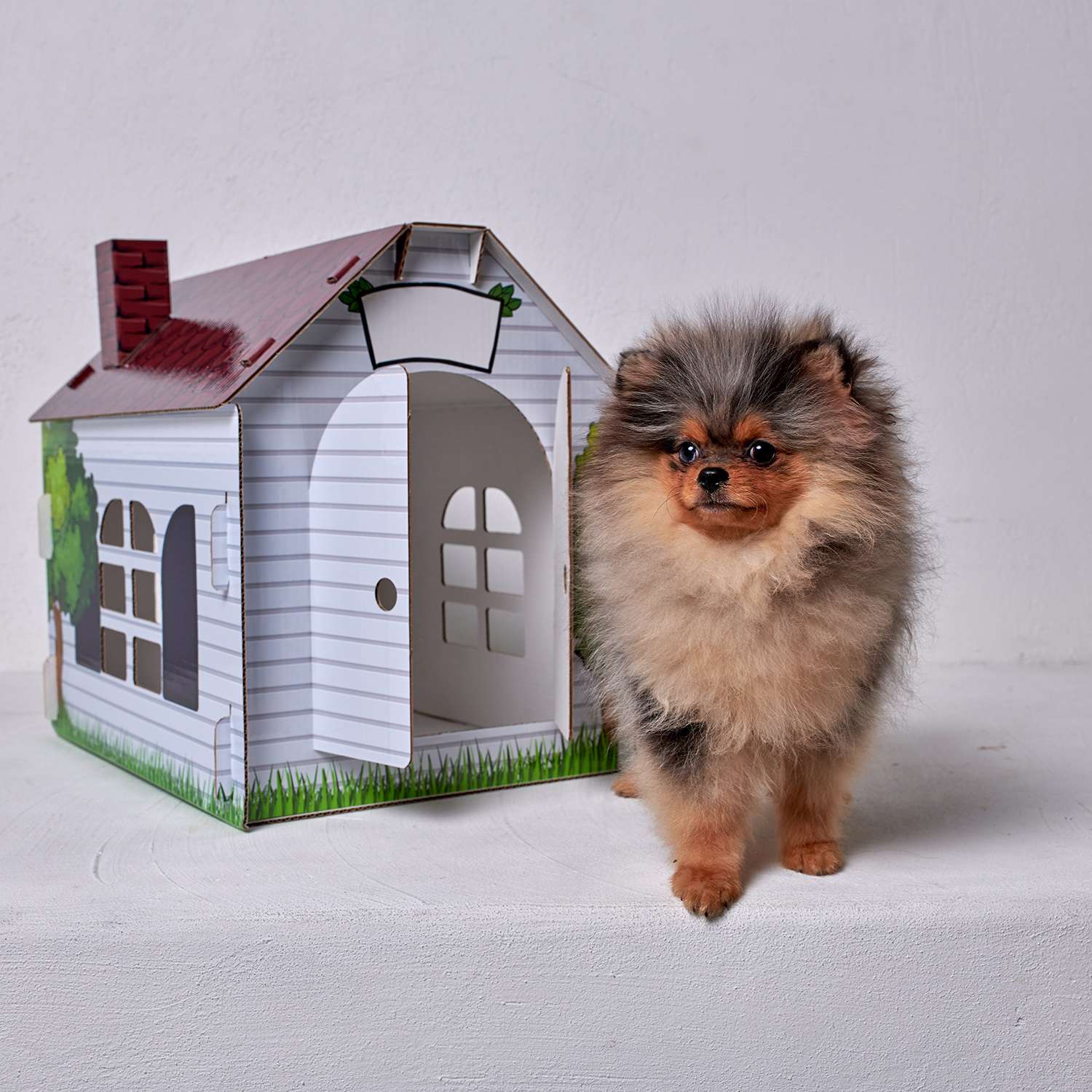 Домик MASKBRO улучшенный картонный для кошек и собак с когтеточкой матовый - фото 2
