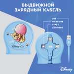 Зарядный кабель Disney выдвижной Винни-Пух USB - Type-C, Micro USB, Lightning QS-C01