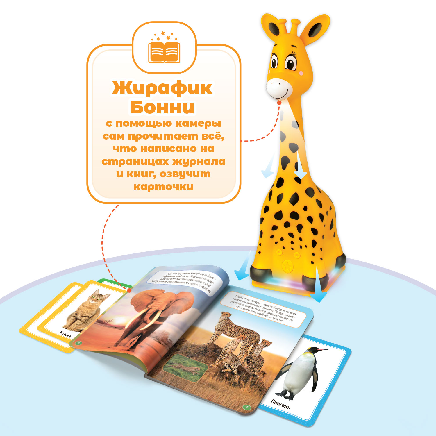 Большой комплект BertToys Жирафик Бонни + познавательный журнал + 2 набора карточек + 3 книги со сказками - фото 2