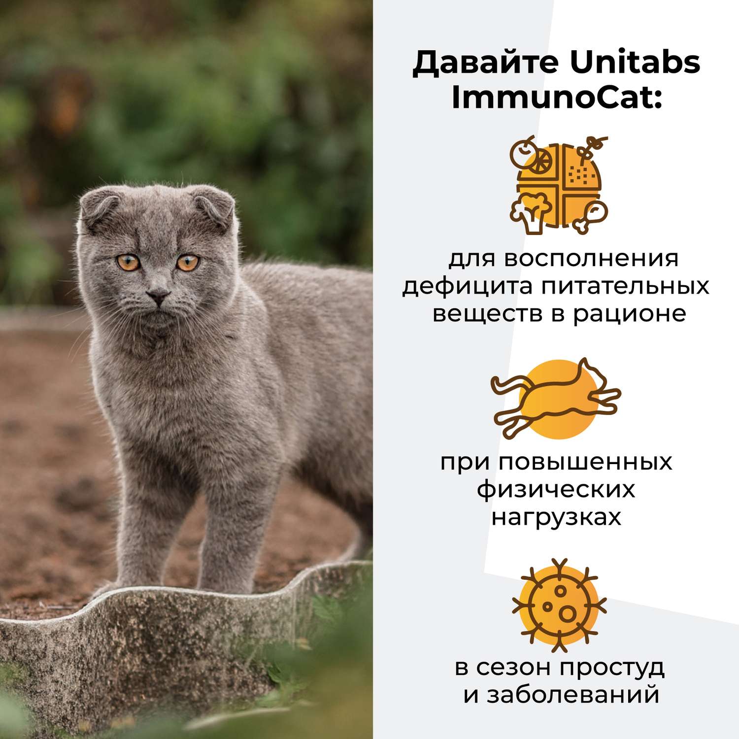 Витамины для кошек Unitabs Immuno Cat с Q10 120таблеток - фото 4
