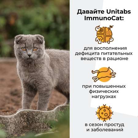 Витамины для кошек Unitabs Immuno Cat с Q10 120таблеток