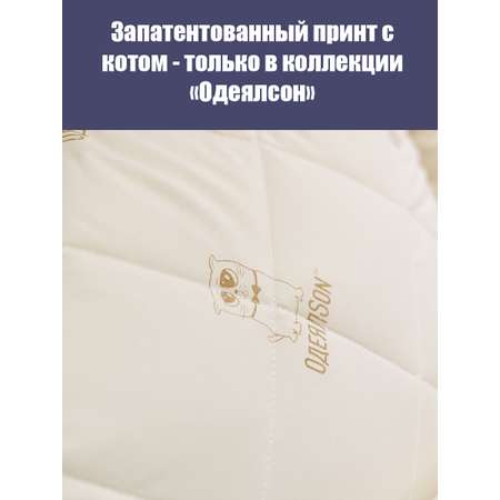 Подушка Мягкий сон одеялсон 70x70 см