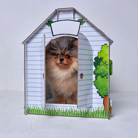 Домик MASKBRO улучшенный картонный для кошек и собак с когтеточкой и мятой