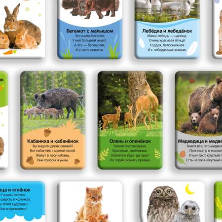 Развивающие карточки Malamalama Животные