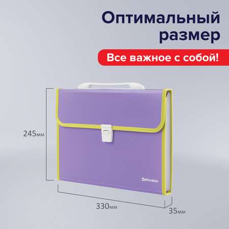 Папка-портфель Brauberg пластиковая Joy А4 13 отделений фиолетовый