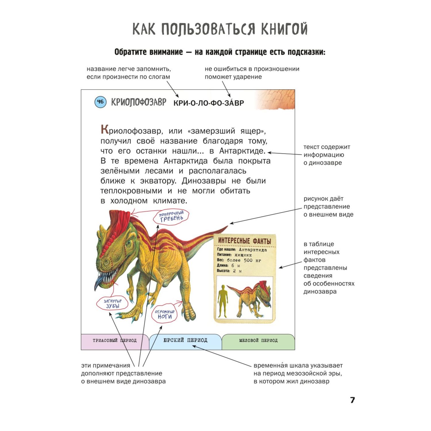 Книга Эксмо Все хищные динозавры с крупными буквами - фото 4