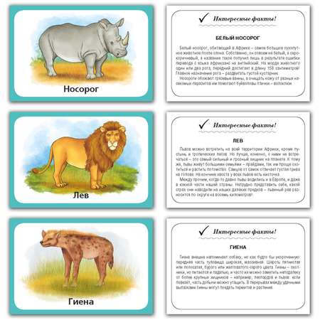 Карточки развивающие РУЗ Ко Животные Африки. Интересные факты