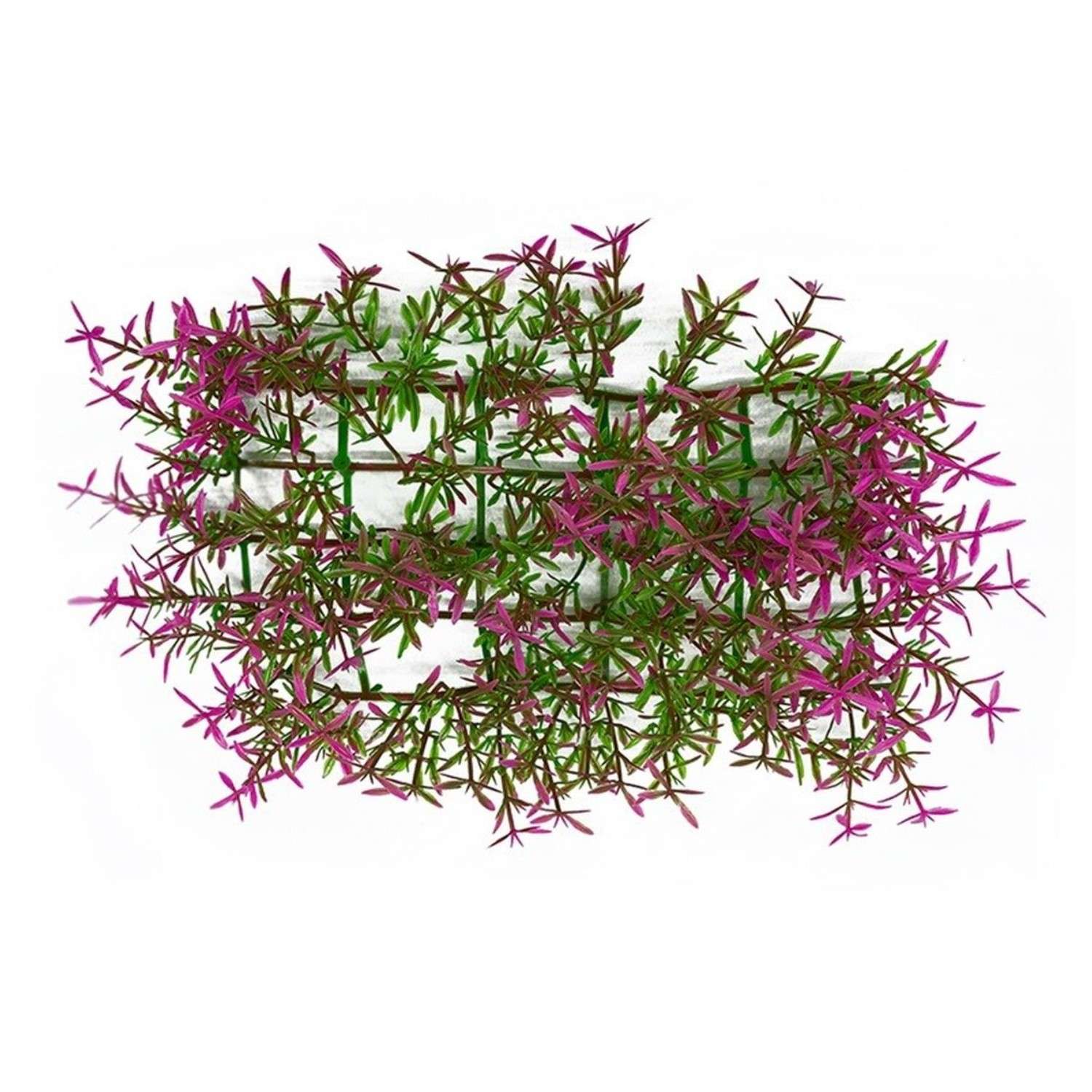Аквариумное растение Rabizy в виде коврика 23х12х5 см - фото 1