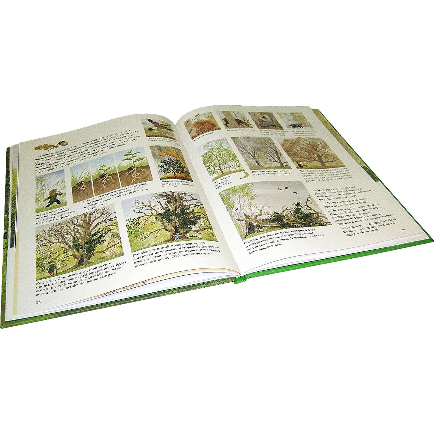 Комплект Добрая книга Как растут овощи? + Как растут ягоды + Наше дерево - фото 18