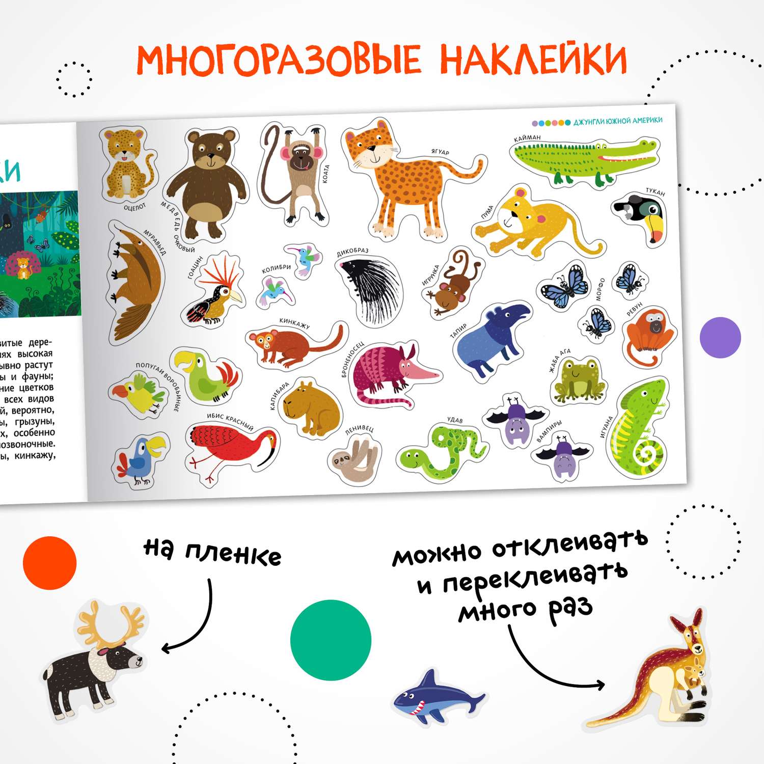 Книга с наклейками МОЗАИКА kids Удивительный мир животных. 250 многоразовых наклеек - фото 6