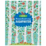 Книга Clever Волшебный мир лабиринтов