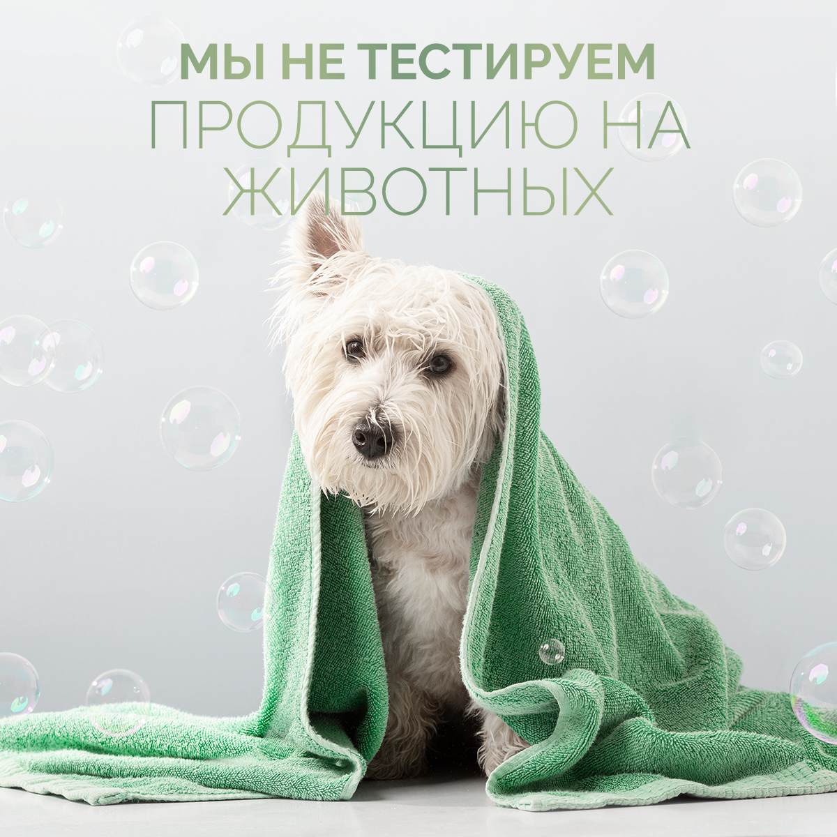 Набор освежителей для дома NICE by Septivit Formula 04 05 06 по 300 мл - фото 9