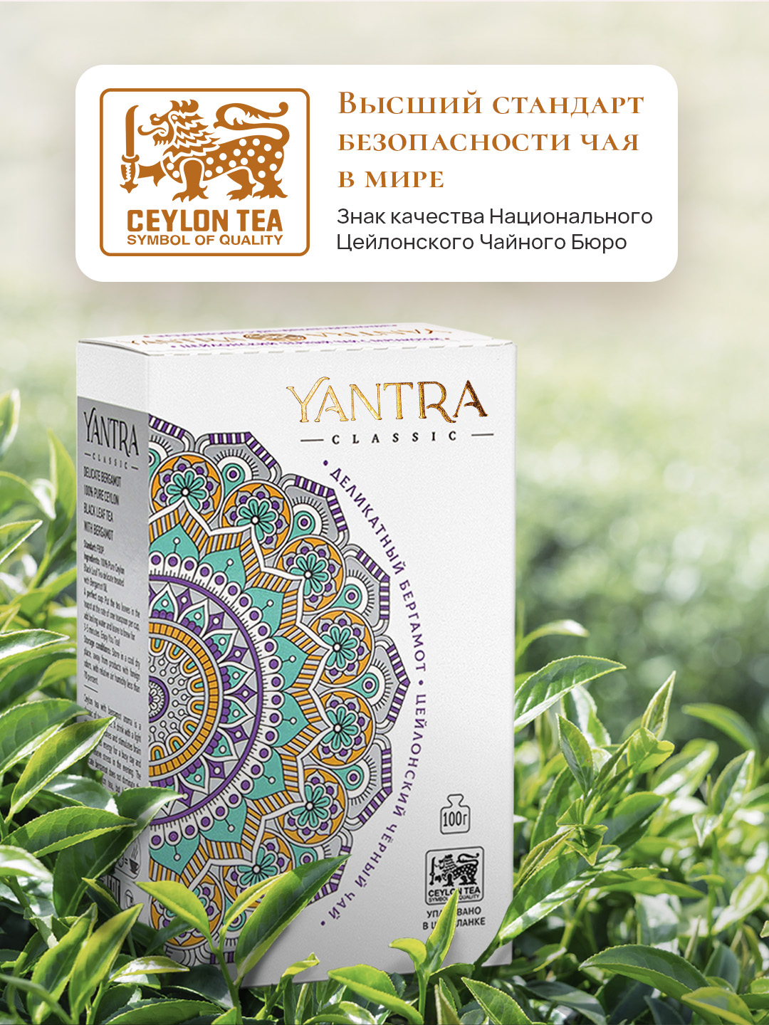 Чай Классик Yantra черный с бергамотом Деликатный бергамот 100 г - фото 3