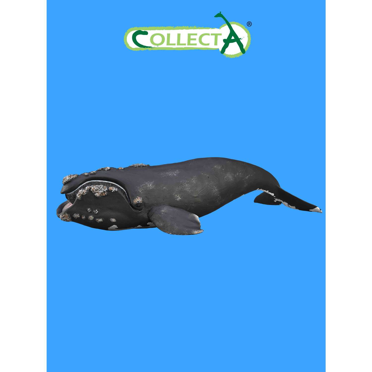 Фигурка животного Collecta Южный кит - фото 1