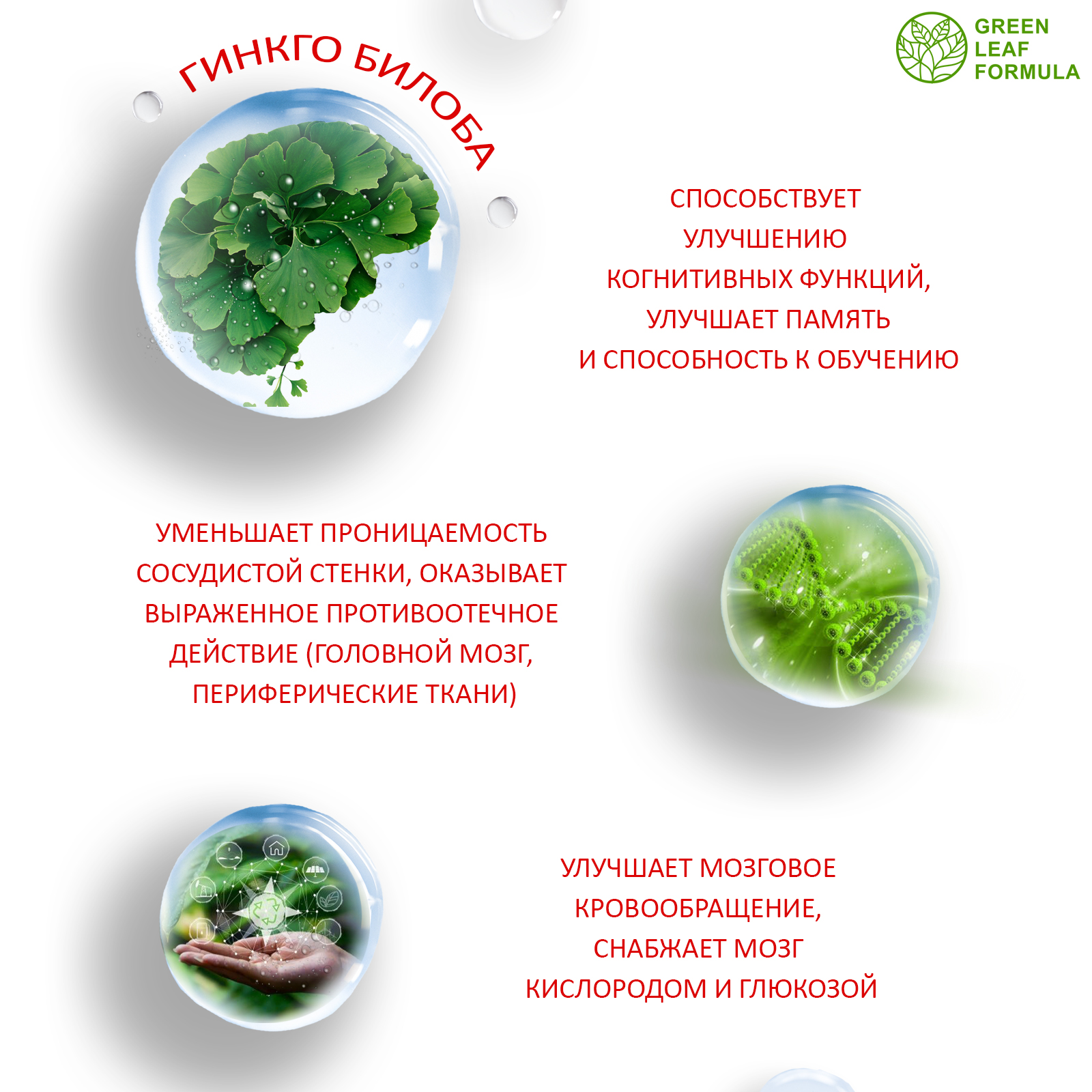 Витамины для нервной системы Green Leaf Formula для мозга памяти внимания триптофан глицин гинкго билоба от стресса и депрессии 2 банки - фото 6