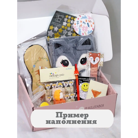 Подарочный бокс для девочки iLikeGift лиса