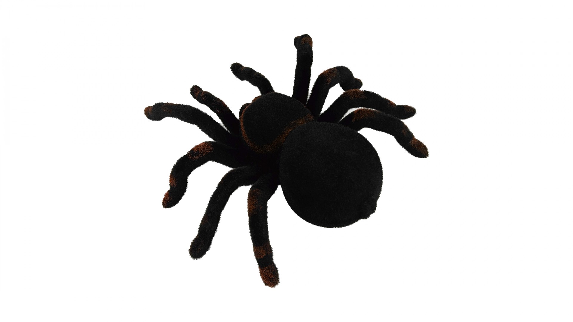 Робот паук Cute Sunlight Toys Tarantula - фото 3