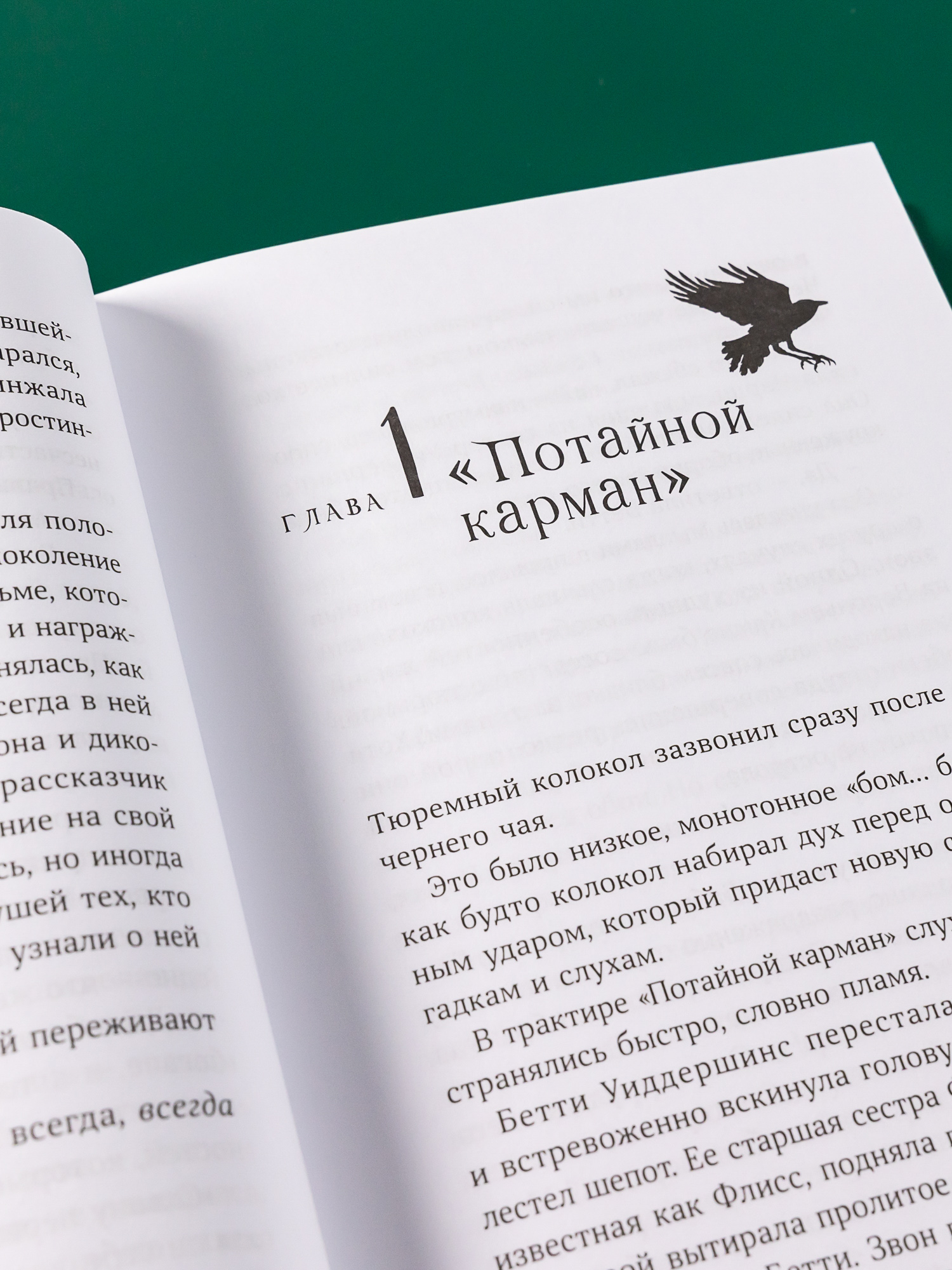 Книга Альпина. Дети Горстка волшебства - фото 5