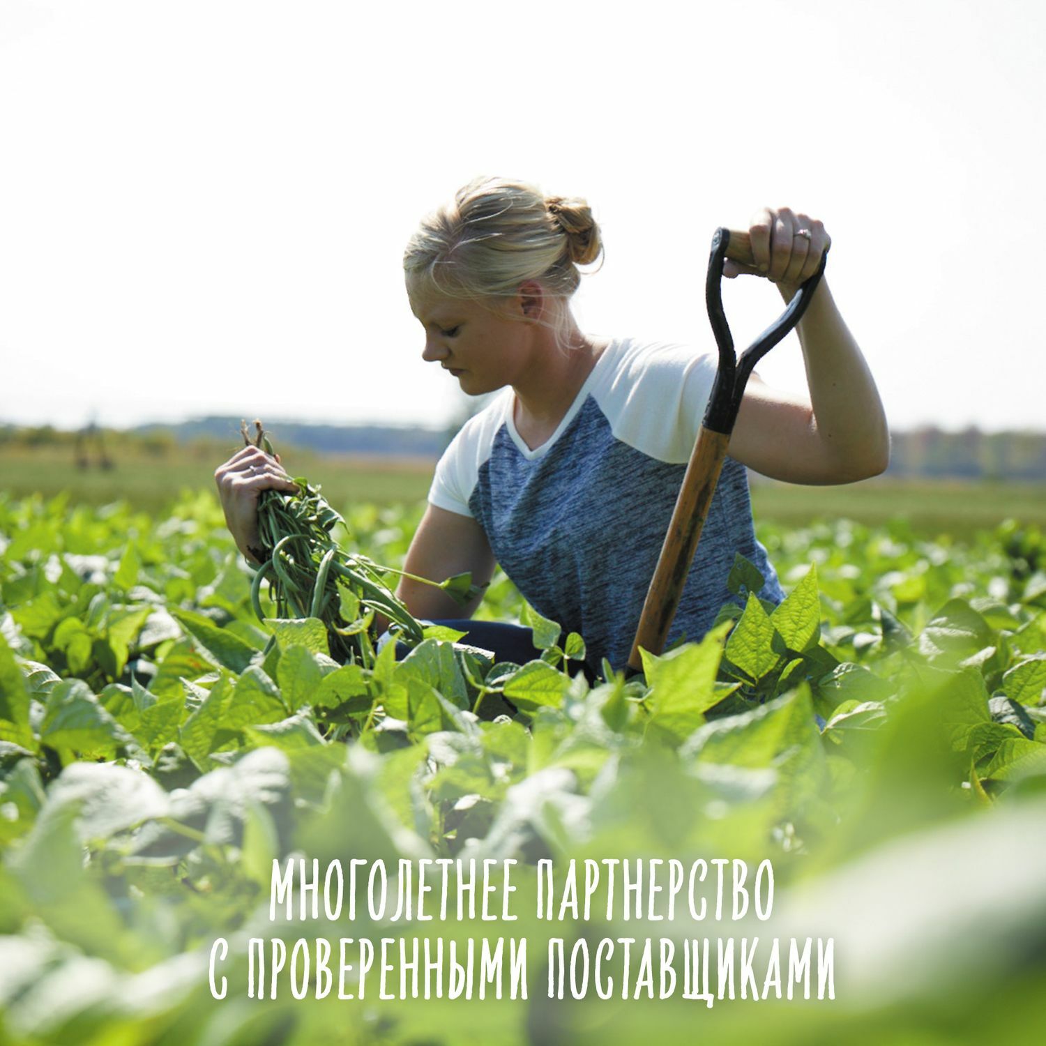 Пюре Gerber яблоко-груша-малина-черника 90г с 6месяцев - фото 3