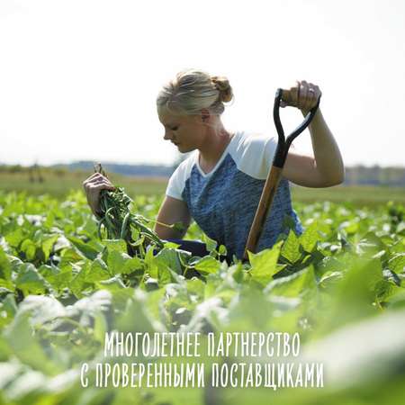 Пюре Gerber яблоко-груша-малина-черника 90г с 6месяцев