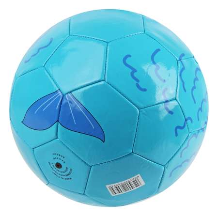 Мяч Veld Co футбольный 22 см в сетке
