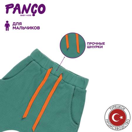 Брюки PANCO