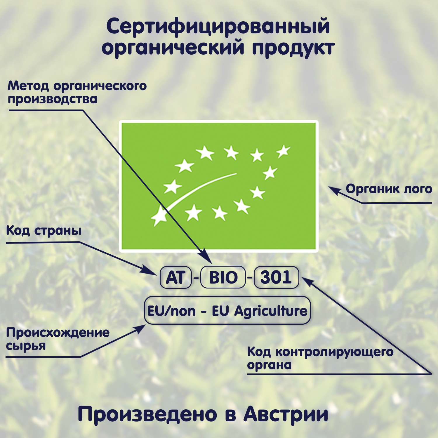 Каша Fleur Alpine мультизлаковая банан-клубника-яблоко с кукурузными шариками овсяными и спельтовыми хлопьями 200г с 15месяцев - фото 12