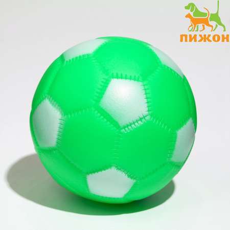 Игрушка Пижон пищащая «Мяч Футбол» для собак 6.2 см зелёная