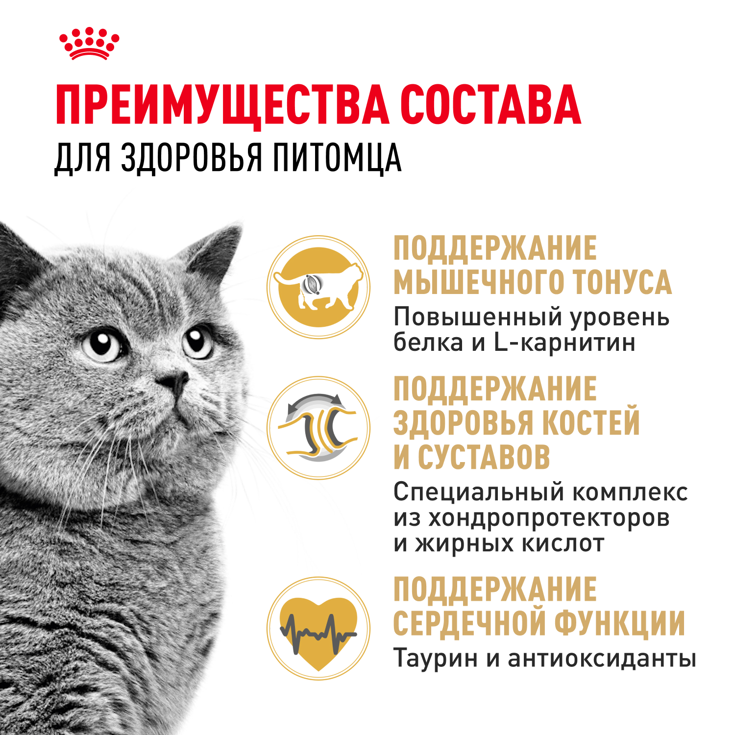 Корм сухой для кошек ROYAL CANIN British Shorthair 4кг британской короткошерстной породы - фото 4