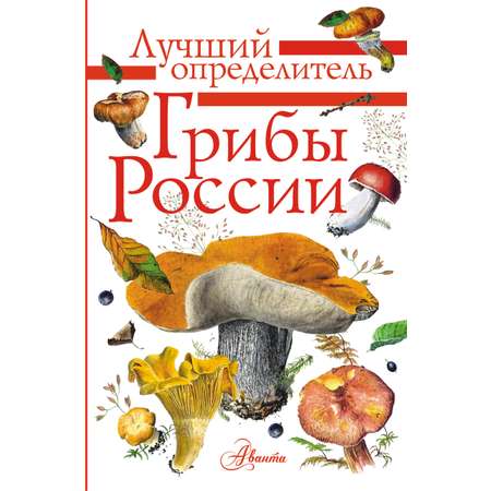 Книга АСТ Грибы России. Определитель