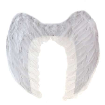Крылья ангела Страна карнавалия белые