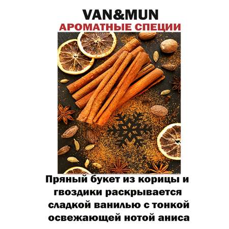 Ароматический диффузор VANandMUN Ароматные специи 60мл с фибровыми палочками