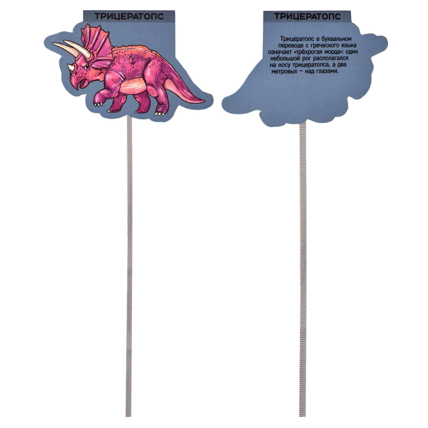 Закладки магнитные ФЕНИКС+ для книг Ляссе Динозавры - фото 3