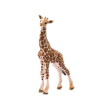 Фигурка SCHLEICH Детеныш жирафа