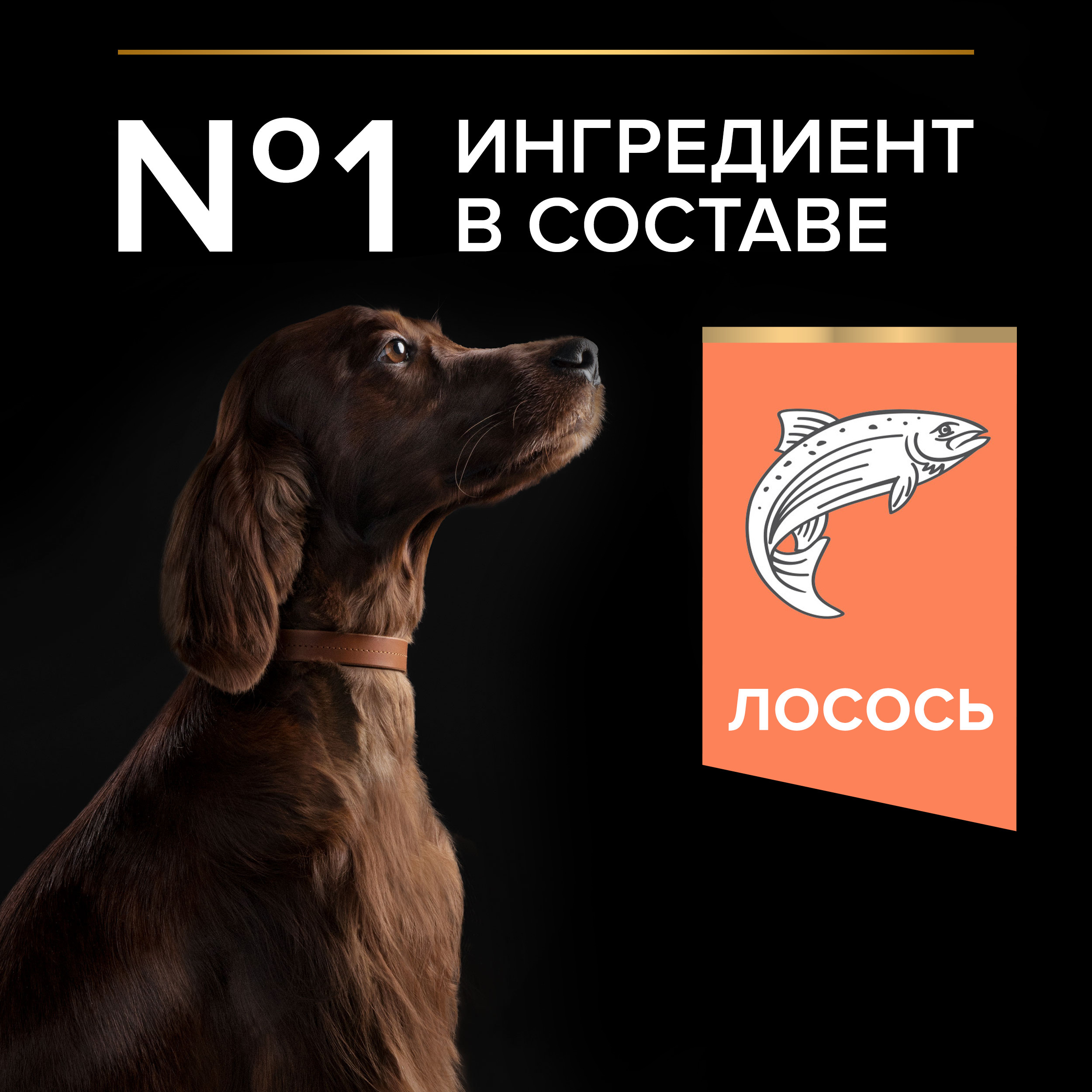 Корм для собак PRO PLAN крупных пород с атлетическим телосложением с чувствительной кожей с комплексом Optiderma лосось с рисом 14кг - фото 5