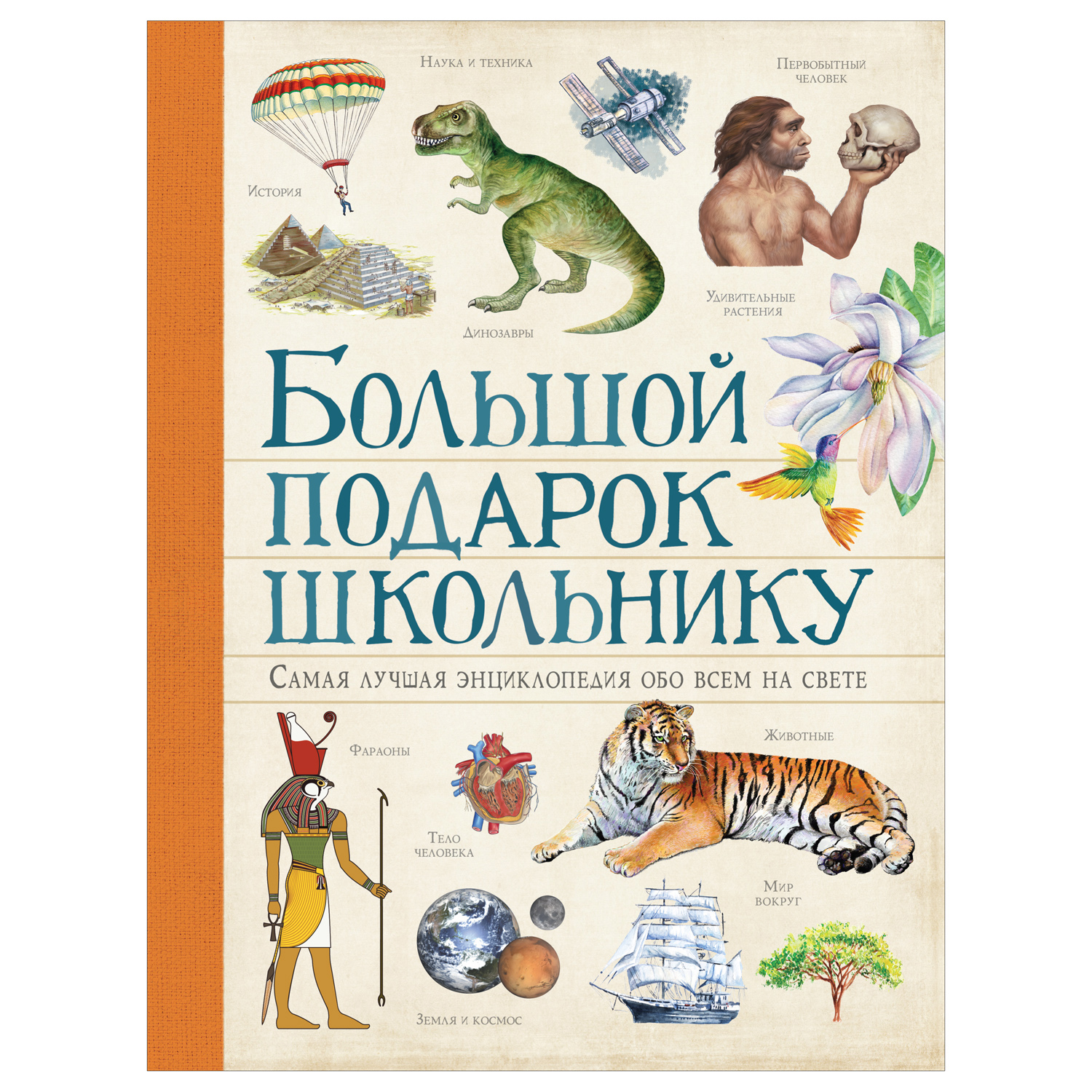 Книга Росмэн Большой подарок школьнику купить по цене 979 ₽ в  интернет-магазине Детский мир