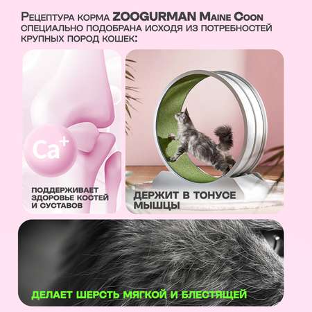 Корм сухой Зоогурман Big Cats Птица MIX 10 кг