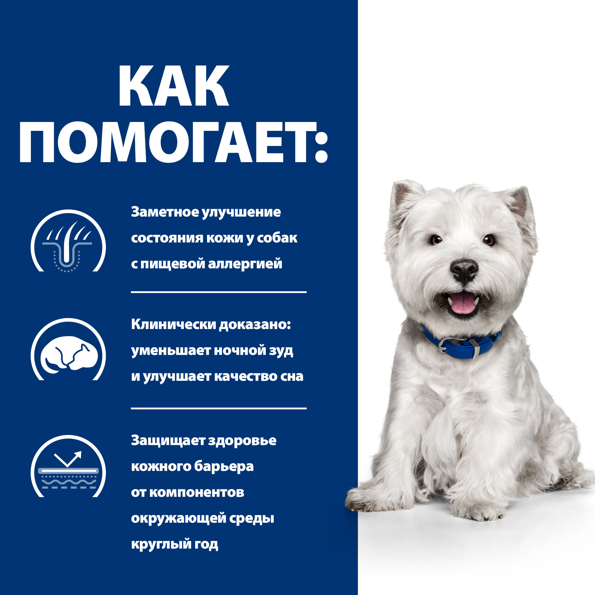 Корм для собак Hills 1кг Prescription Diet Derm Complete Mini взрослых мелких пород при аллергии сухой - фото 4