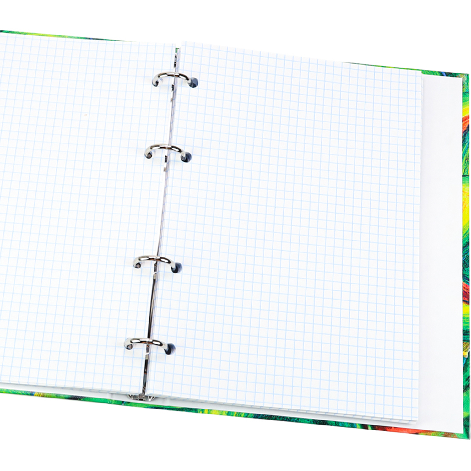 Тетрадь на кольцах Prof-Press Хамелеоны и авокадо клетка 80 листов на кольцах - фото 6
