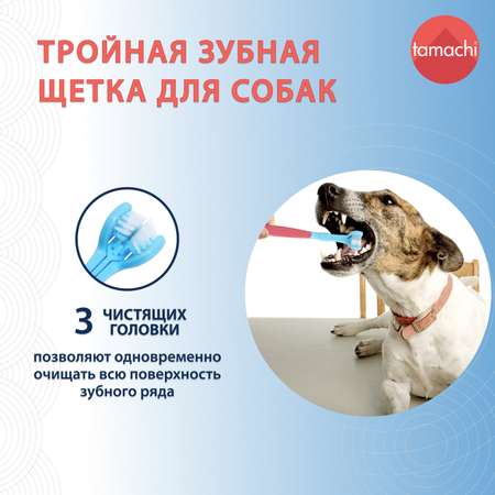 Зубная щетка для кошек и собак Tamachi 3D T511
