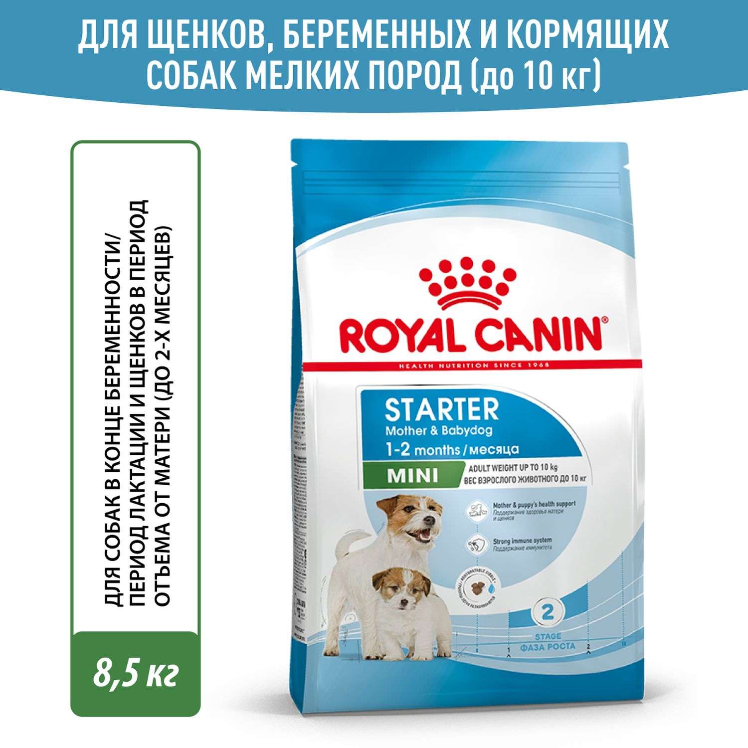 Royal canin mini starter 8 hot sale 5 kg