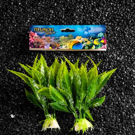 Набор искусственных растений Пижон для аквариума в набор 2 шт 11.5 см