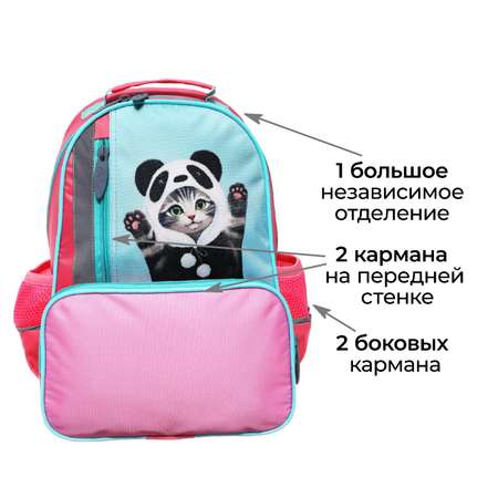 Рюкзак школьный Calligrata 37 х 26 х 13 см эргономичная спинка «Котик панда»