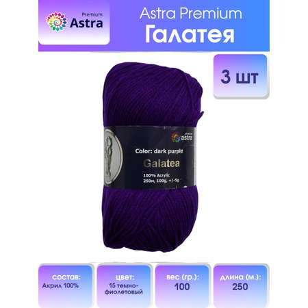 Пряжа Astra Premium Галатея акриловая 100 г 250 м 15 темно-фиолетовый 3 мотка